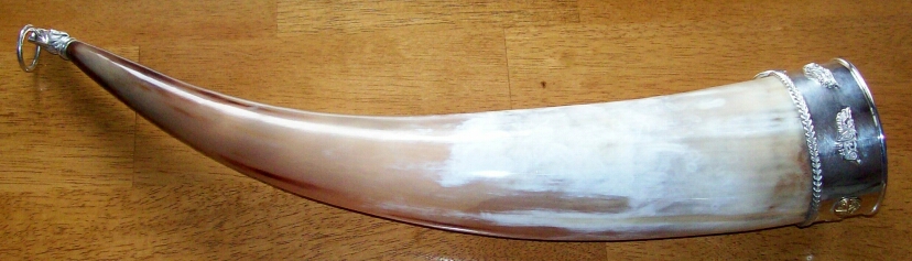 Drinking Horn